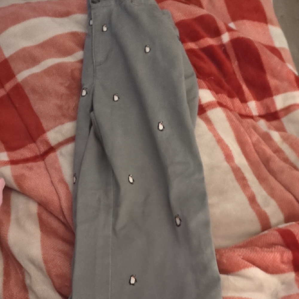 Gray Pants with Penguin Embroidery
